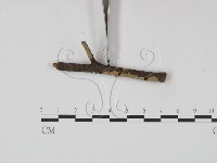 登錄號:F0003893藏品圖，第3張