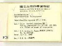 登錄號:F0003895藏品圖，第2張