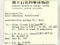 登錄號:F0003896藏品圖，第2張