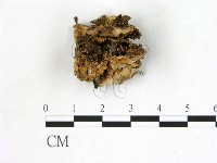 登錄號:F0003896藏品圖，第1張