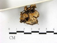 登錄號:F0003896藏品圖，第3張