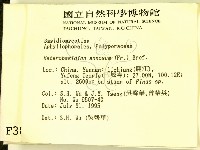 登錄號:F0003897藏品圖，第2張