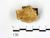 登錄號:F0003897藏品圖，第1張