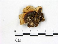 登錄號:F0003897藏品圖，第3張