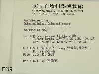 登錄號:F0003900藏品圖，第2張