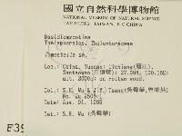 登錄號:F0003901藏品圖，第2張