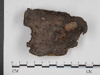 登錄號:F0003903藏品圖，第1張