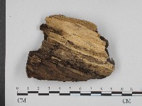 登錄號:F0003903藏品圖，第3張