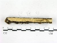 登錄號:F0003904藏品圖，第1張