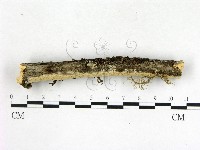 登錄號:F0003904藏品圖，第3張