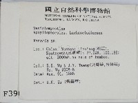 登錄號:F0003905藏品圖，第2張