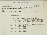 登錄號:F0003906藏品圖，第2張