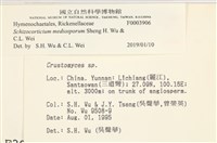 登錄號:F0003906藏品圖，第3張