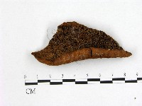 登錄號:F0003908藏品圖，第3張