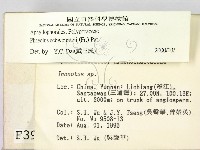 登錄號:F0003909藏品圖，第2張