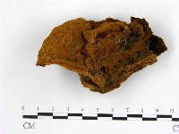 登錄號:F0003909藏品圖，第1張