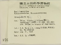 刺革菌屬藏品圖，第2張