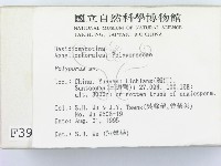 多孔菌屬藏品圖，第2張