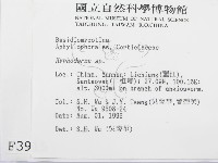 絲皮菌屬藏品圖，第2張