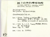 登錄號:F0003916藏品圖，第2張