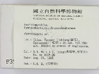 刺革菌屬藏品圖，第2張