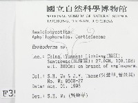 絲皮菌屬藏品圖，第2張