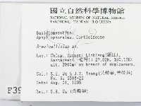 登錄號:F0003920藏品圖，第2張