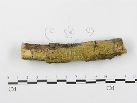 登錄號:F0003920藏品圖，第1張