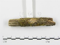 登錄號:F0003920藏品圖，第3張
