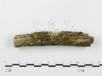 登錄號:F0003920藏品圖，第4張