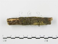 登錄號:F0003920藏品圖，第5張