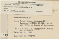 登錄號:F0003920藏品圖，第6張