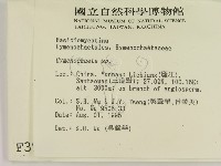 刺革菌屬藏品圖，第2張