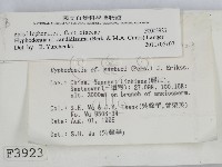 登錄號:F0003923藏品圖，第2張