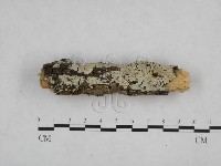 登錄號:F0003923藏品圖，第1張