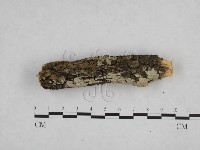 登錄號:F0003923藏品圖，第3張