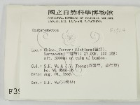 登錄號:F0003924藏品圖，第2張