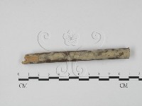 登錄號:F0003924藏品圖，第1張