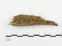 登錄號:F0003925藏品圖，第1張
