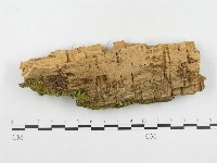 登錄號:F0003926藏品圖，第3張