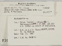 登錄號:F0003927藏品圖，第2張