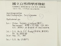 絲皮菌屬藏品圖，第2張