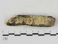 登錄號:F0003932藏品圖，第1張