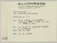 寡孔菌屬藏品圖，第2張