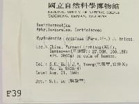 登錄號:F0003934藏品圖，第2張