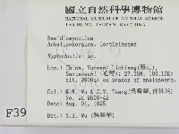 登錄號:F0003936藏品圖，第2張