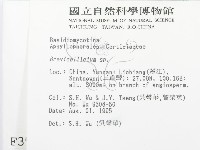 登錄號:F0003937藏品圖，第2張
