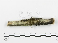 登錄號:F0003937藏品圖，第1張