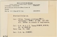 登錄號:F0003937藏品圖，第6張