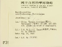 登錄號:F0003938藏品圖，第2張